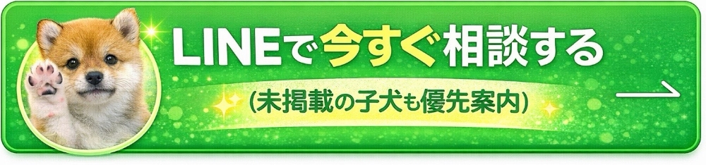 LINEで今すぐ相談する（未掲載の子犬も優先案内）