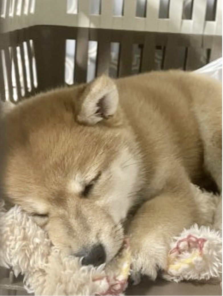 この度は本当に素敵なご縁をくださり本当にありがとうございます。