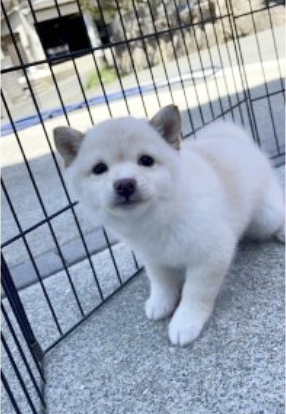 この度は大変丁寧なご対応ありがとうございました。