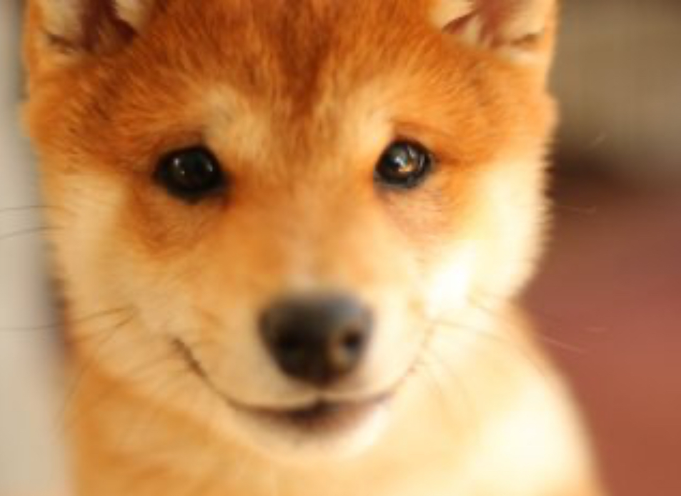 この度は素敵な出会いをありがとうございました。