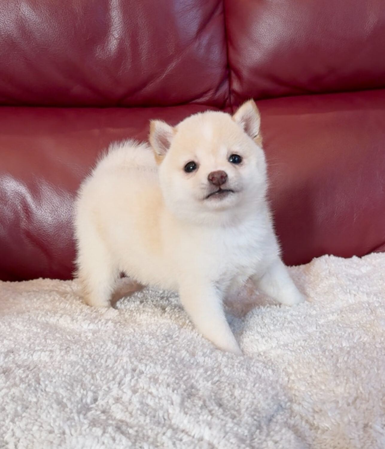 今日は約束の時間を大幅に遅れてしまい本当に申し訳ありませんでした