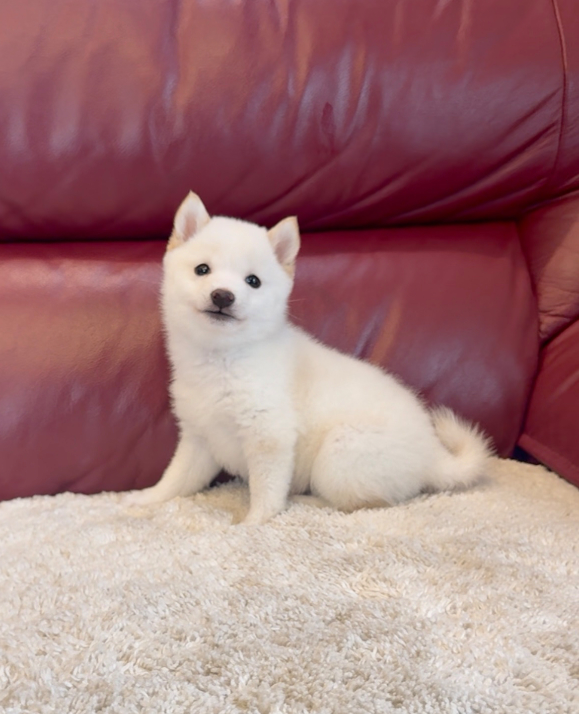 初めてサイトを参照し 初めて田鍋さんに連絡をしました。